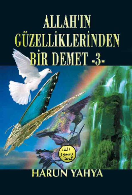 Allahın Güzelliklerinden Bir Demet - 3